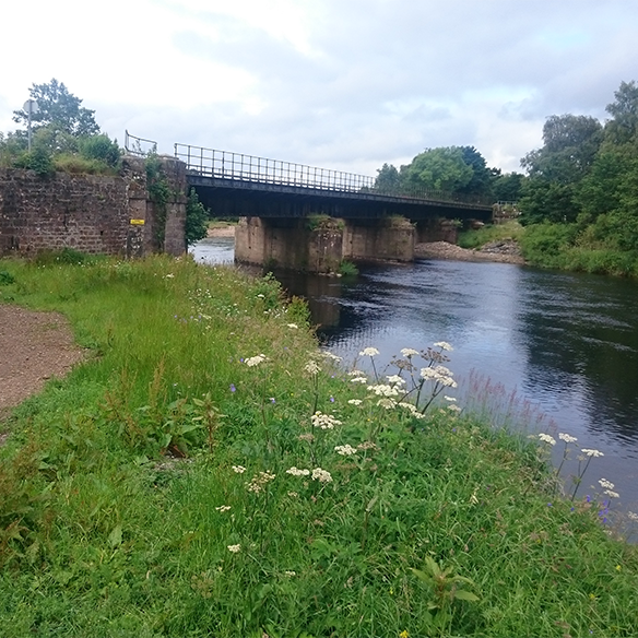 South tyne viaduct 584x584 (01)