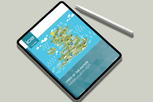 The ICE’s ‘State of the Nation’